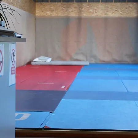 Πανσιόν Dojo Wambrechies